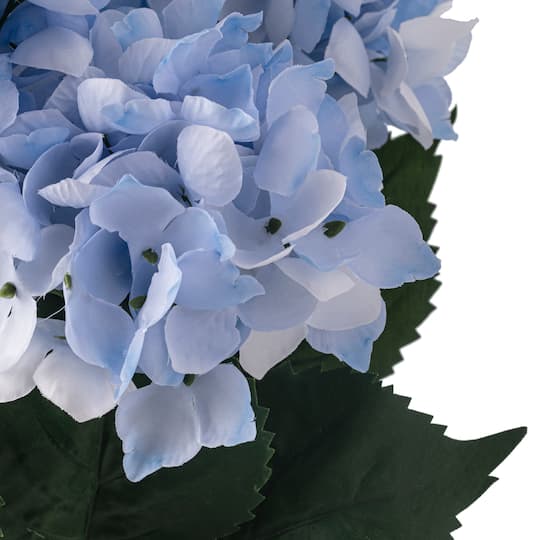 12 Pack: Light Blue Hydrangea Bush by Ashland®